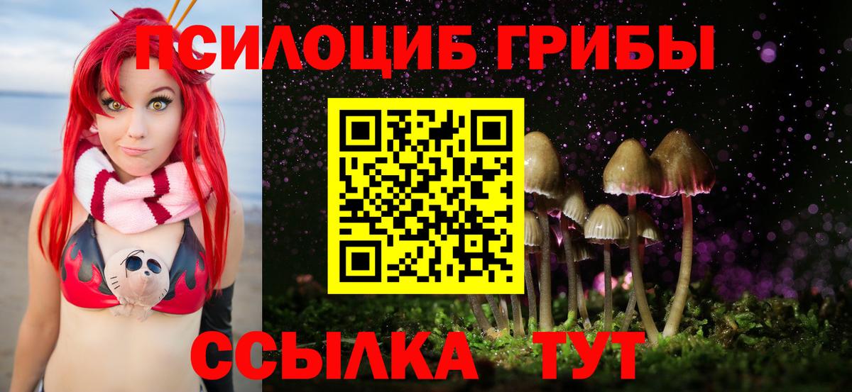 как найти   Псилоцибиновые грибы мухоморы  Вход с VPN  Клинцы 